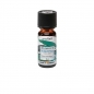 Preview: PROMED AROMAESS EUKALYPTUS 10ml (1 Stück)