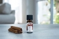 Preview: PROMED AROMAESSENZ ZIMT 10ml (1 Stück)