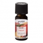 Preview: PROMED DUFTOEL PFIRSICH 10ml (1 Stück)