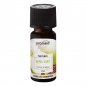 Preview: PROMED DUFTOEL APFEL ZIMT 10ml (1 Stück)