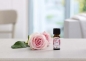 Preview: PROMED DUFTOEL ROSE 10ml (1 Stück)