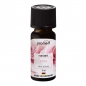 Preview: PROMED DUFTOEL ROSE 10ml (1 Stück)