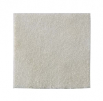 BIATAIN Alginate Ag Kompressen 5x5 cm mit Silber (10 Stück)